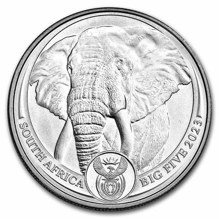 Platynowa Moneta Big Five Elephant 1 uncja