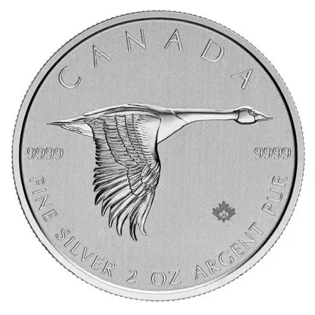 Srebrna Moneta Kanadyjska Gęś 2 uncje 24h
