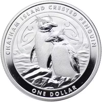 Srebrna Moneta Pingwin czubaty na wyspie Chatam 1 uncja 24h