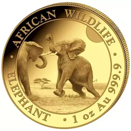 Złota Moneta Somalijski Słoń 1 uncja 2024 NOWOŚĆ