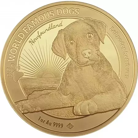 Złota Moneta World Famous Dogs - Labrador 1 uncja 2023 24h